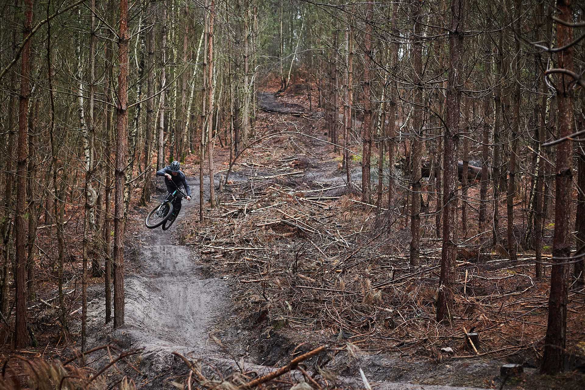 An image captured in Swinley forest where the mountain bike trails often wind through where the forestry team have been felling trees.