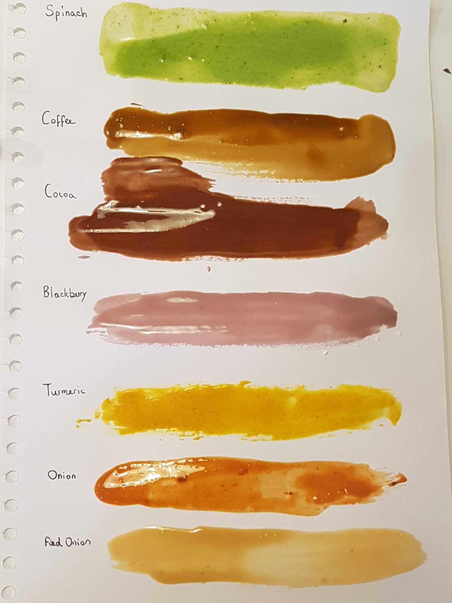 Experimenting with natural pigments to create the paint - adding each to a binder made from egg and cornflour.