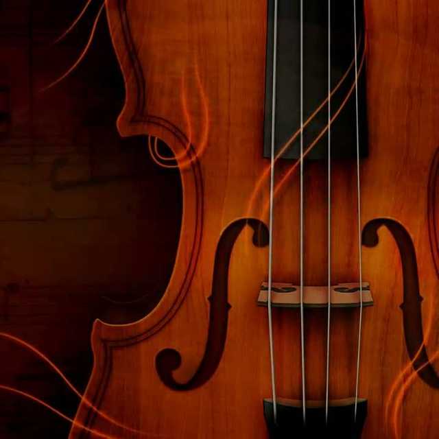 Violin