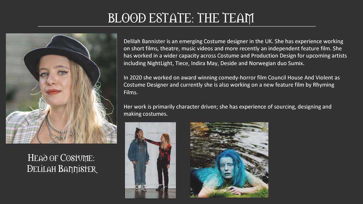 Pitch Deck for Blood Estate 