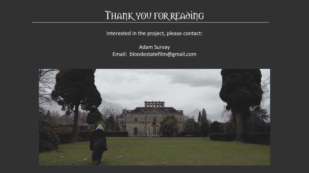 Pitch Deck for Blood Estate 