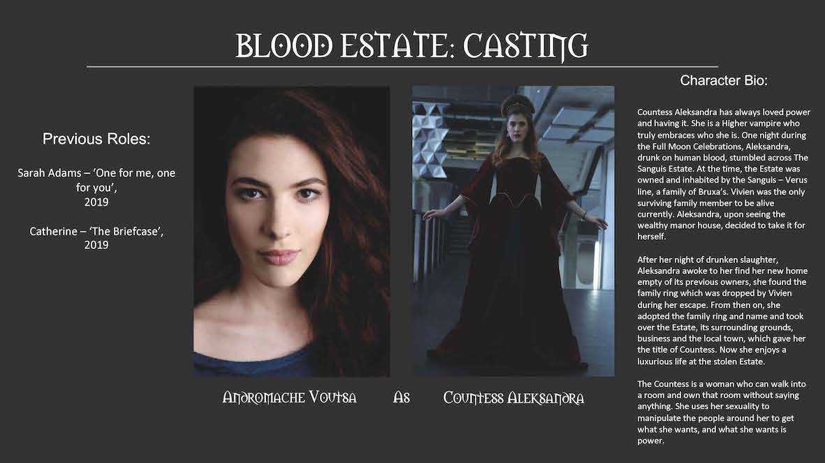 Pitch Deck for Blood Estate 